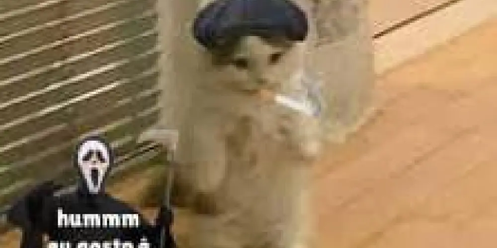 Imagem do grupo de WhatsApp Tropa do armário😁😁