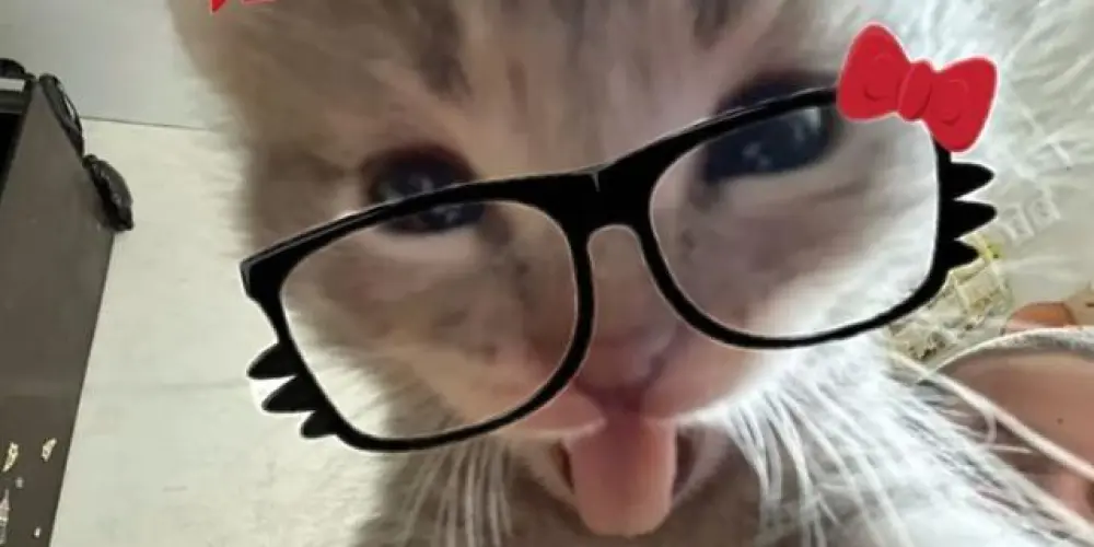 Imagem do grupo de WhatsApp 🌈"TROPA DO BEM"🌟