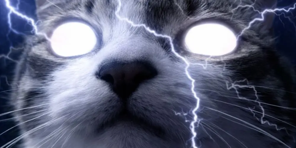 Imagem do grupo de WhatsApp Tropa do desastre 🤙🔥