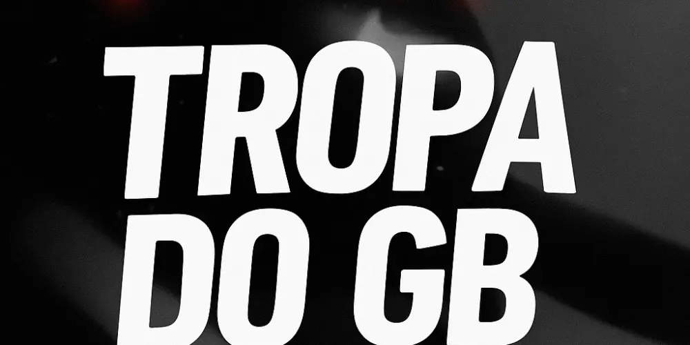 Imagem do grupo de WhatsApp TROPA DO GB 🥋💯
