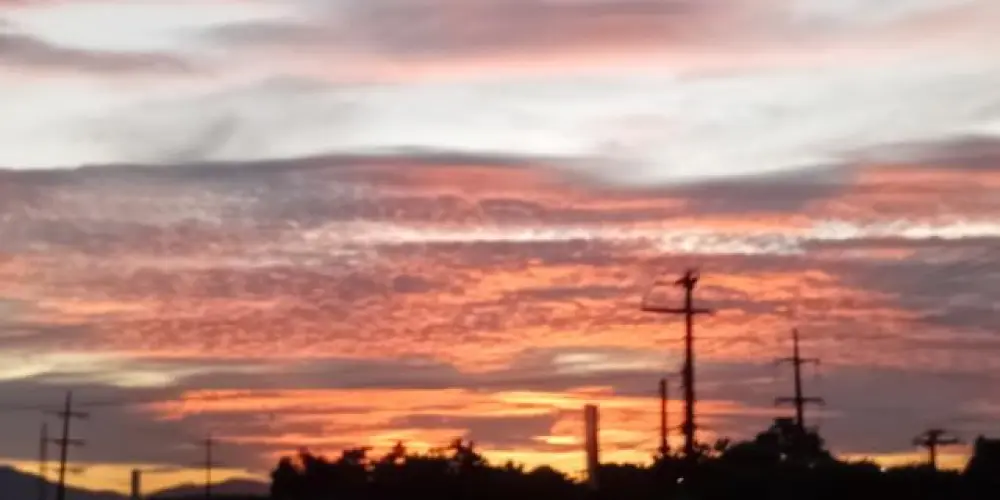 Imagem do grupo de WhatsApp Tropa do lit