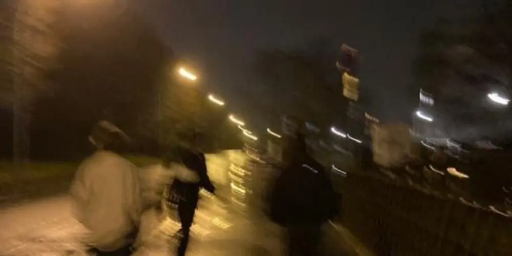 Imagem do grupo de WhatsApp ☆TROPA DO LZ☆