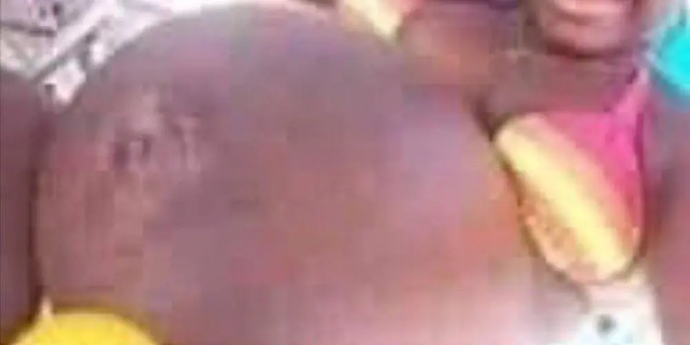 Imagem do grupo de WhatsApp tropa do manicômio