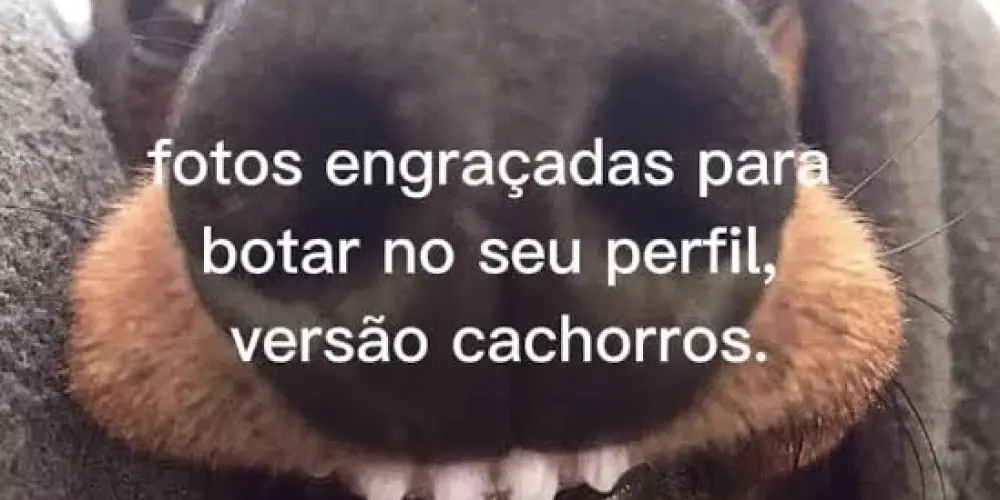 Imagem do grupo de WhatsApp Tropa do mantém