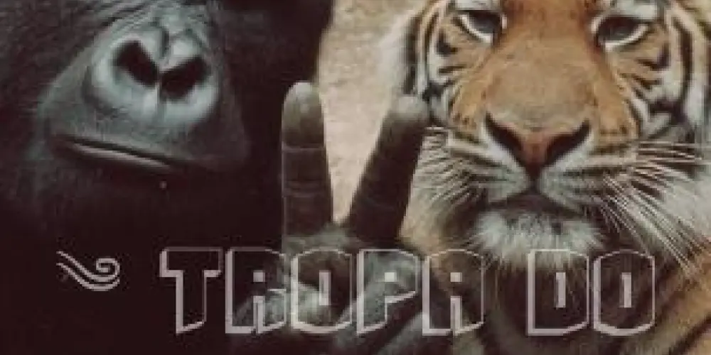 Imagem do grupo de WhatsApp ༄ tropa do muzinh1♲