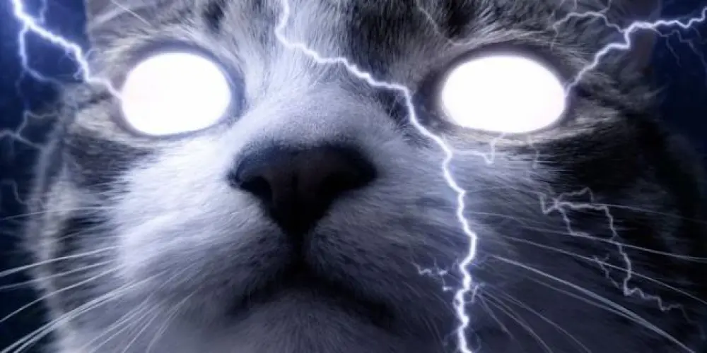 Imagem do grupo de WhatsApp Tropa do terror