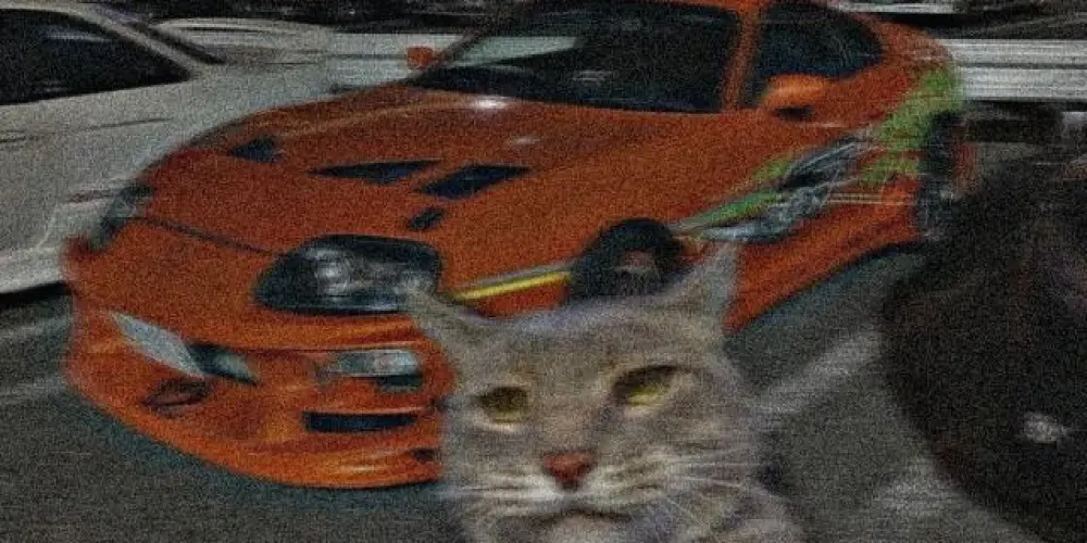 Imagem do grupo de WhatsApp TROPA DOS BLACK 🚬💭