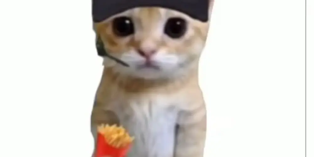 Imagem do grupo de WhatsApp 🔥⚠️TROPA INSANA⚠️🔥