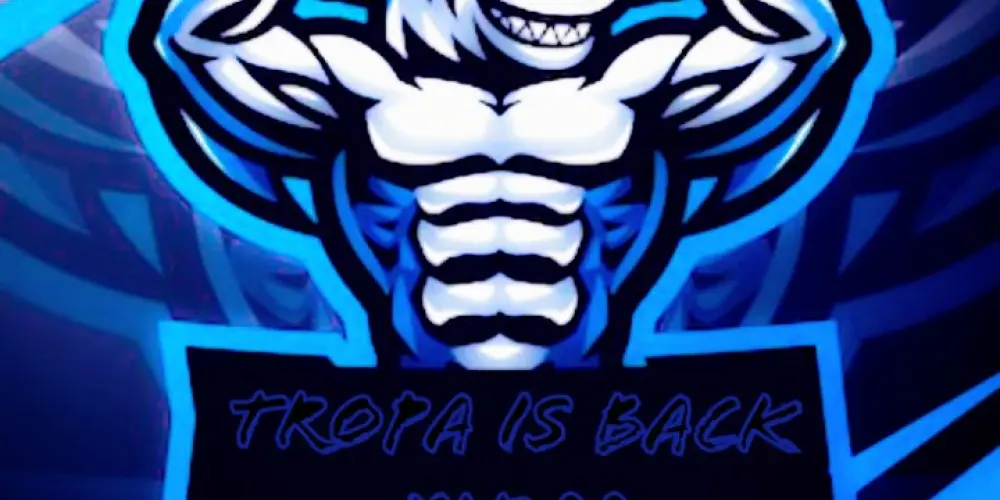 Imagem do grupo de WhatsApp Tropa IS Back xit ff