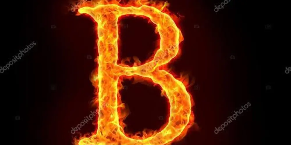 Imagem do grupo de WhatsApp 🇧🇷 TROPA OF BRAZIL