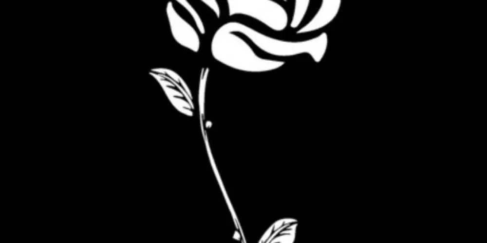 Imagem do grupo de WhatsApp TROPA SN 🌹