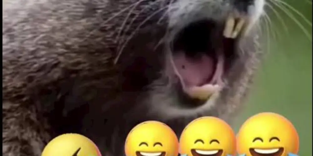 Imagem do grupo de WhatsApp ೃ⁀➷T̾r̾o̾p̾a̾ ̾t̾á̾ ̾O̾N̾ ̾ೃ⁀➷