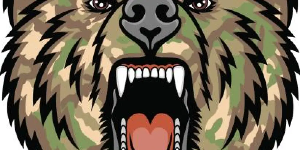 Imagem do grupo de WhatsApp TROPA URSO VICE ONLINE