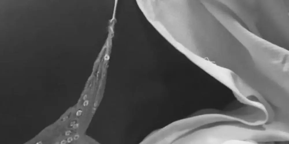 Imagem do grupo de WhatsApp Trpnh da ribeiro ❤️‍🔥🤣7️⃣