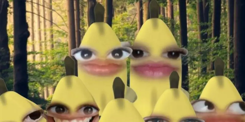 Imagem do grupo de WhatsApp Trupe Bananadas