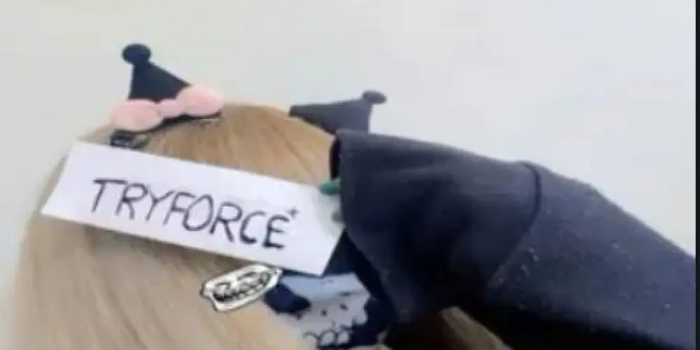 Imagem do grupo de WhatsApp Tryforce #natal🎄🌲