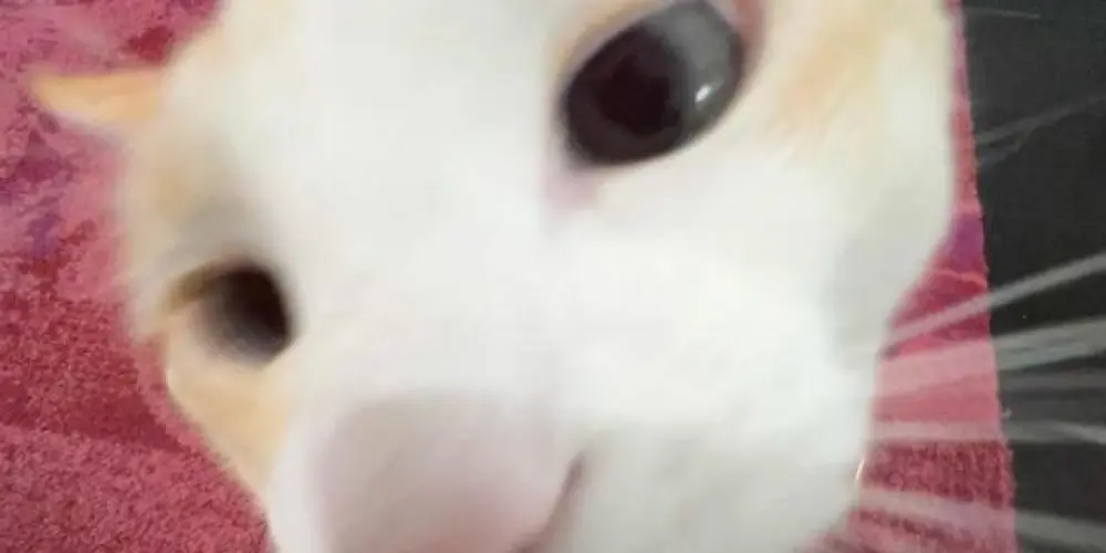 Imagem do grupo de WhatsApp ౨ৎ · Amigos 💥