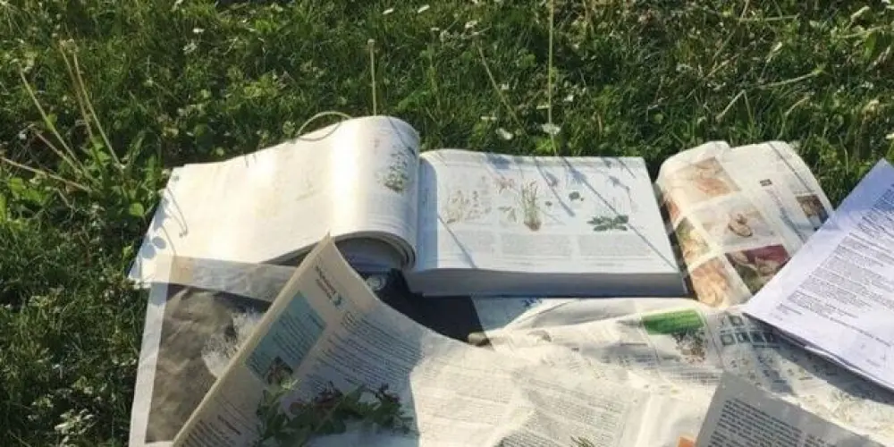 Imagem do grupo de WhatsApp ⋆౨ৎ˚⟡˖ ࣪Dicas para meninas ⋆𐙚₊˚⊹♡