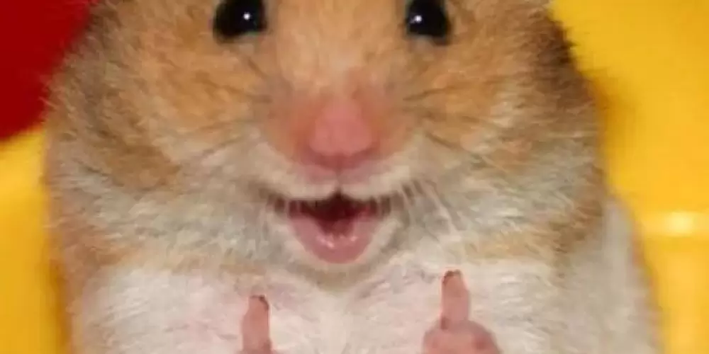 Imagem do grupo de WhatsApp Tudo Corno!!🤷🏻‍♀️