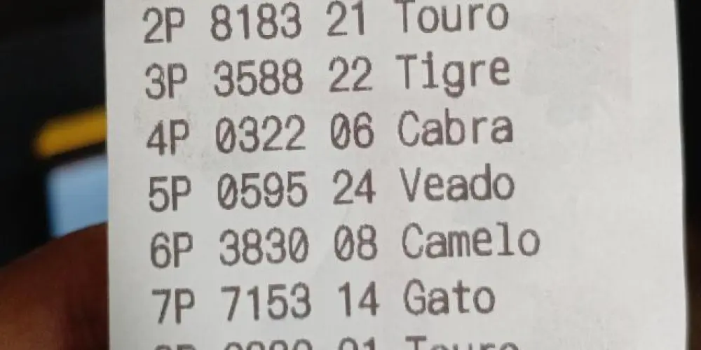 Imagem do grupo de WhatsApp Tudo digital.