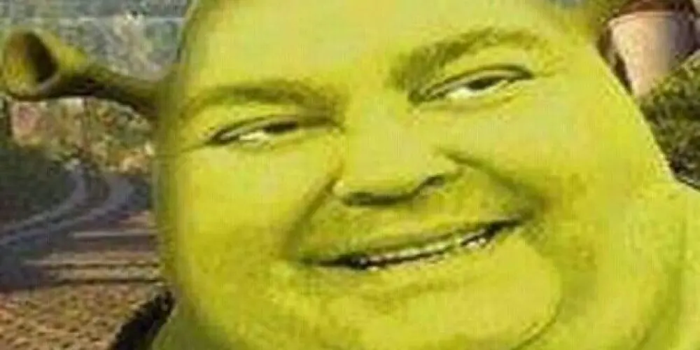 Imagem do grupo de WhatsApp tudo gay sem casa 🤡