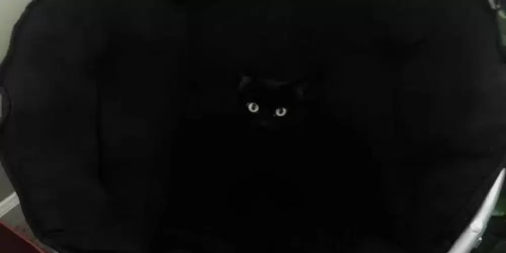 Imagem do grupo de WhatsApp Tudo liberado