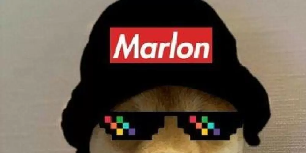 Imagem do grupo de WhatsApp Tudo liberado🤙