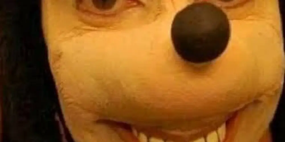 Imagem do grupo de WhatsApp Tudo Liberado