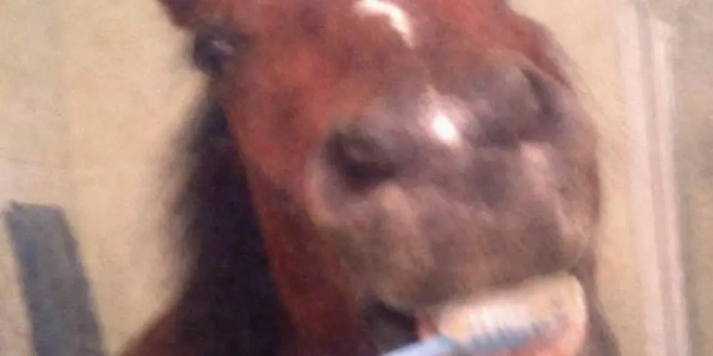 Imagem do grupo de WhatsApp TUDO LIBERADO