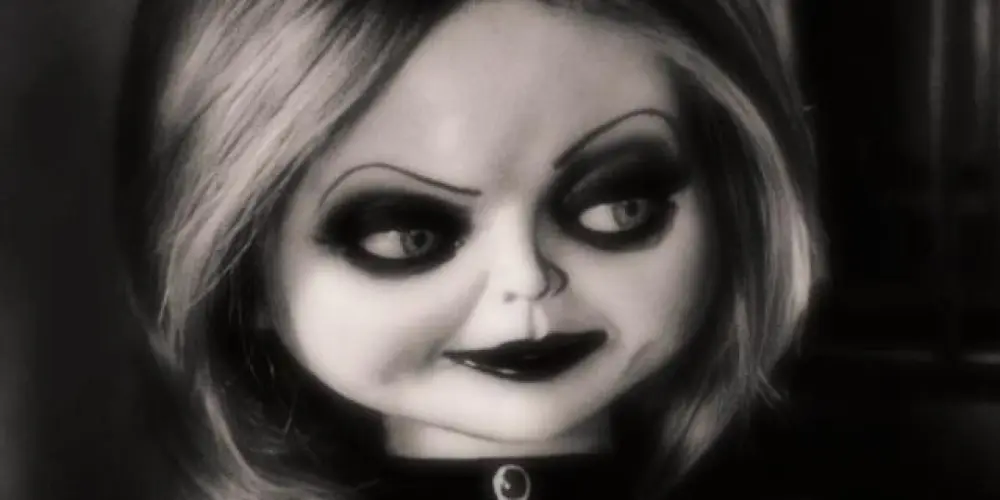 Imagem do grupo de WhatsApp TUDO LIBERADO ✔️