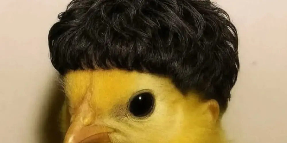 Imagem do grupo de WhatsApp 🤪🫦TUDO LIBERADO IDADE 15-20❤️‍🔥🙊