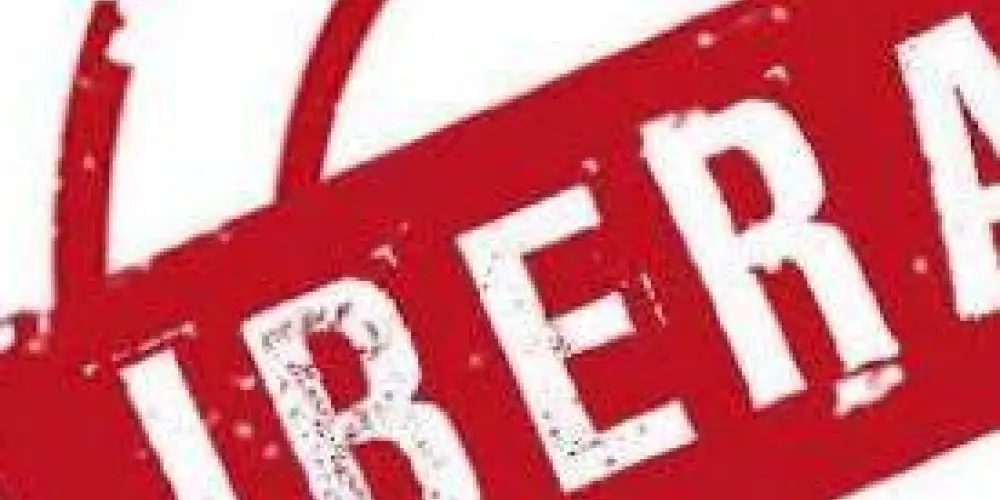 Imagem do grupo de WhatsApp Tudo Livre