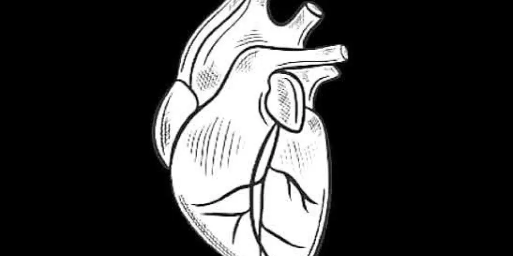 Imagem do grupo de WhatsApp TUDO MENOS FRASES