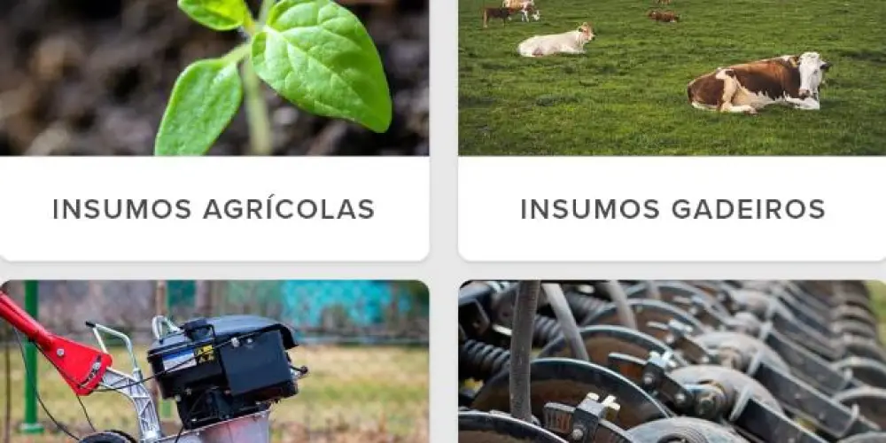 Imagem do grupo de WhatsApp Tudo pro Agro 🐄🚜🧰🪓⛓️