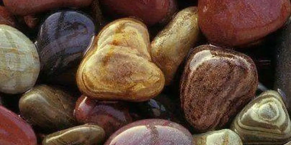 Imagem do grupo de WhatsApp ~ Tudo Sobre Leituras ~ 🍂