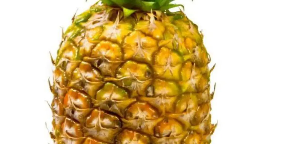 Imagem do grupo de WhatsApp Tugassss🇵🇹🇵🇹