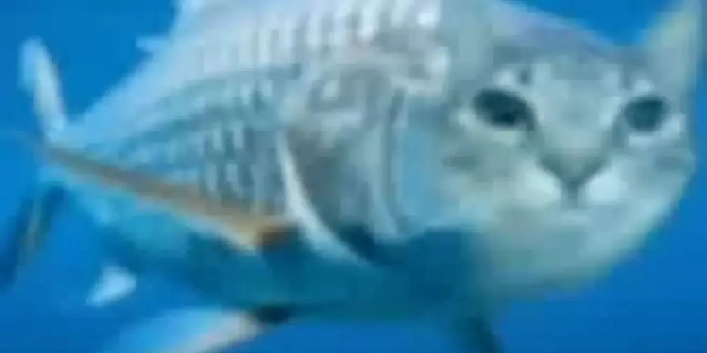 Imagem do grupo de WhatsApp Tukunaré🐟