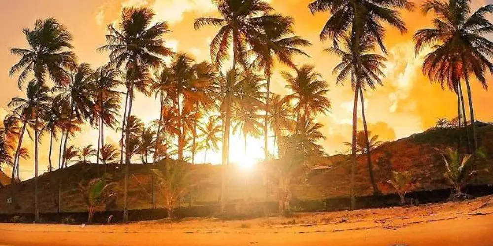 Imagem do grupo de WhatsApp T.U.R.I.S.T.A.S