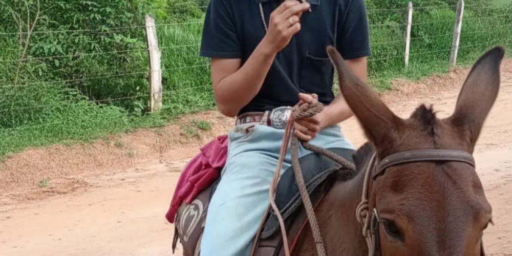 Imagem do grupo de WhatsApp TURMA DA BATIDA (MG/GO/MT)