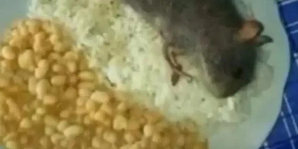 Imagem do grupo de WhatsApp Turma do chaves