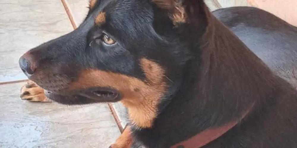 Imagem do grupo de WhatsApp Turmaa da boaa🤟🏽😝🤌🏽