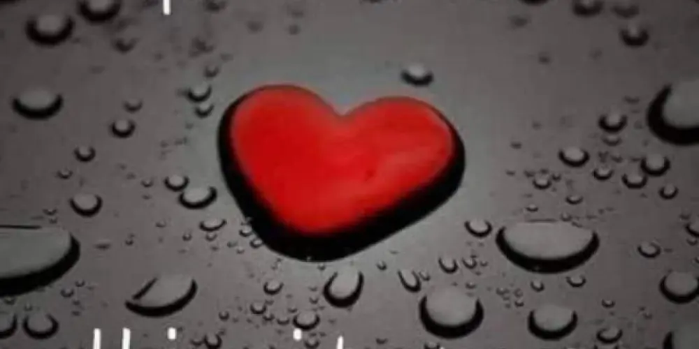 Imagem do grupo de WhatsApp Turmadabagunça🤪🥸🙈🤍