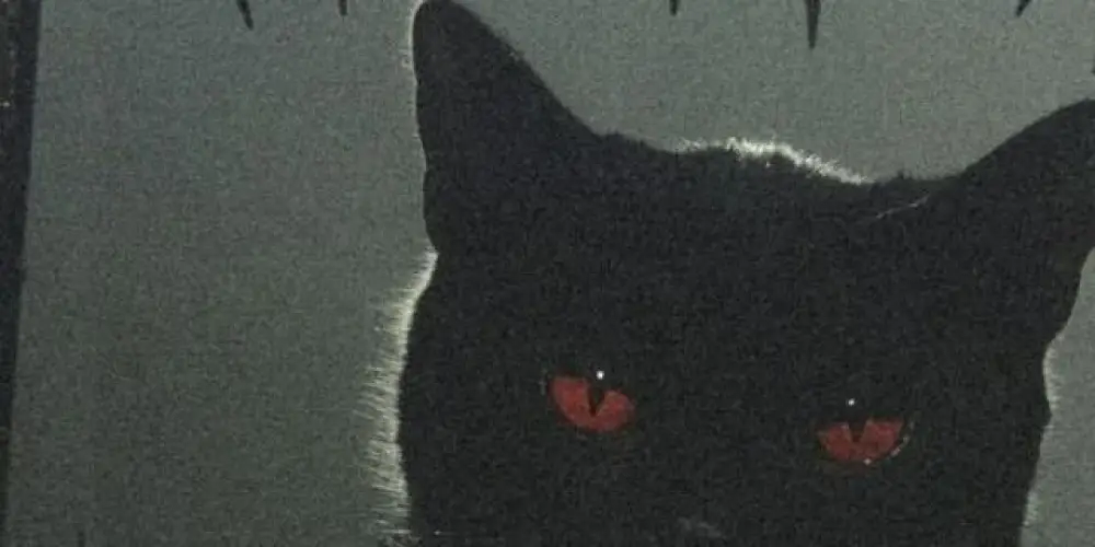 Imagem do grupo de WhatsApp ᯓTwilight Whiskers