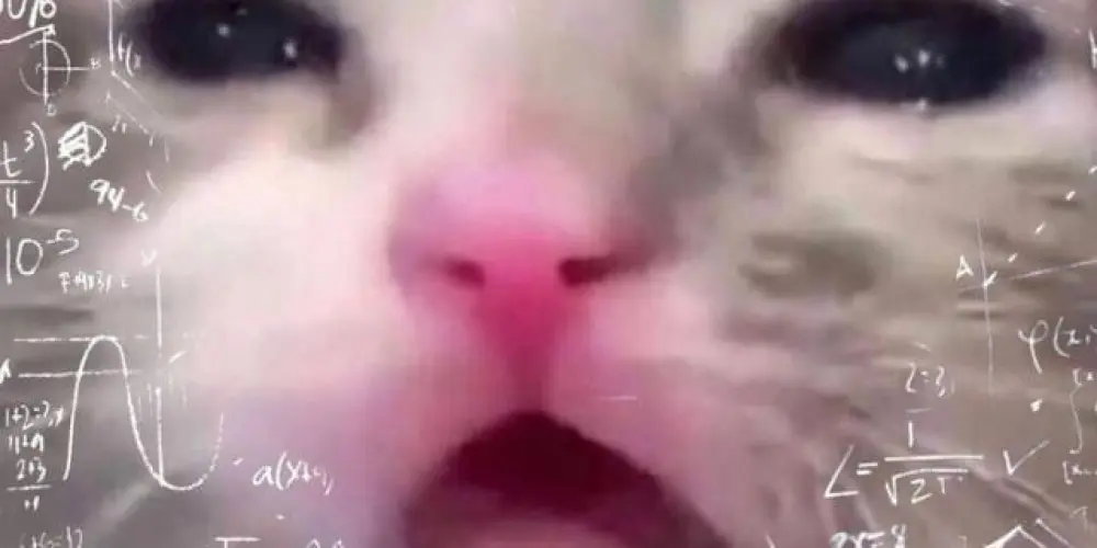 Imagem do grupo de WhatsApp 《𝕺𝖘 ú𝖑𝖙𝖎𝖒𝖔𝖘 𝖔𝖙𝖆𝖐𝖔𝖘》