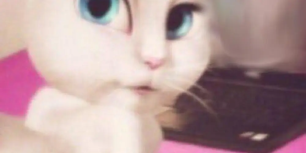 Imagem do grupo de WhatsApp U guê🕊️🕊️