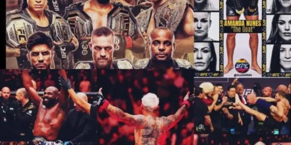 Imagem do grupo de WhatsApp UFC Fight Club 🥊