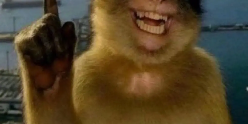 Imagem do grupo de WhatsApp Uᥒιd᥆᥉ ρᥱᥣ᥆ Tᥱ́dι᥆