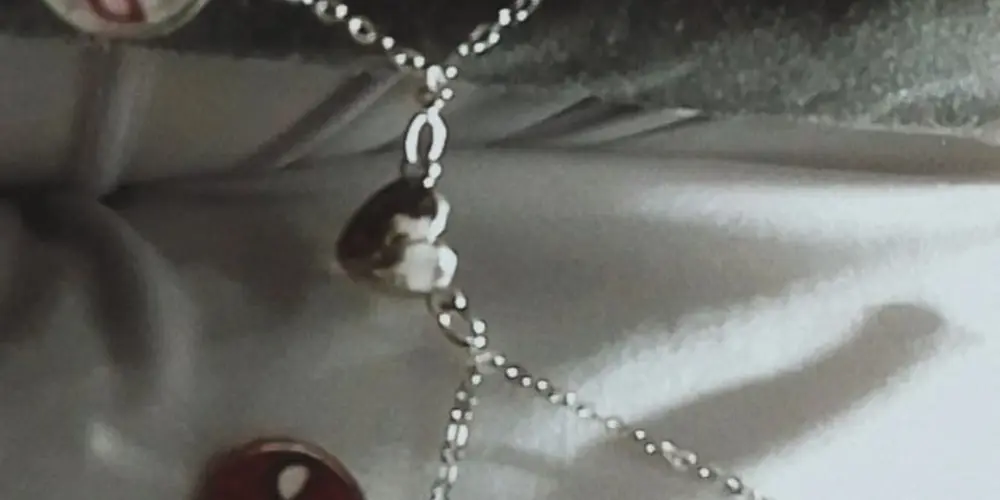 Imagem do grupo de WhatsApp Uma flor 🌷