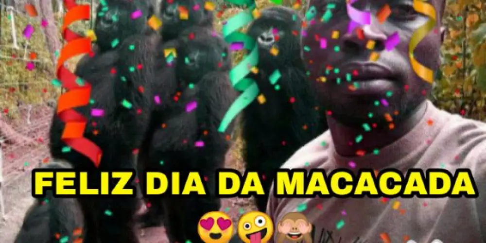 Imagem do grupo de WhatsApp Uma macacada todo dia pre-socratico
