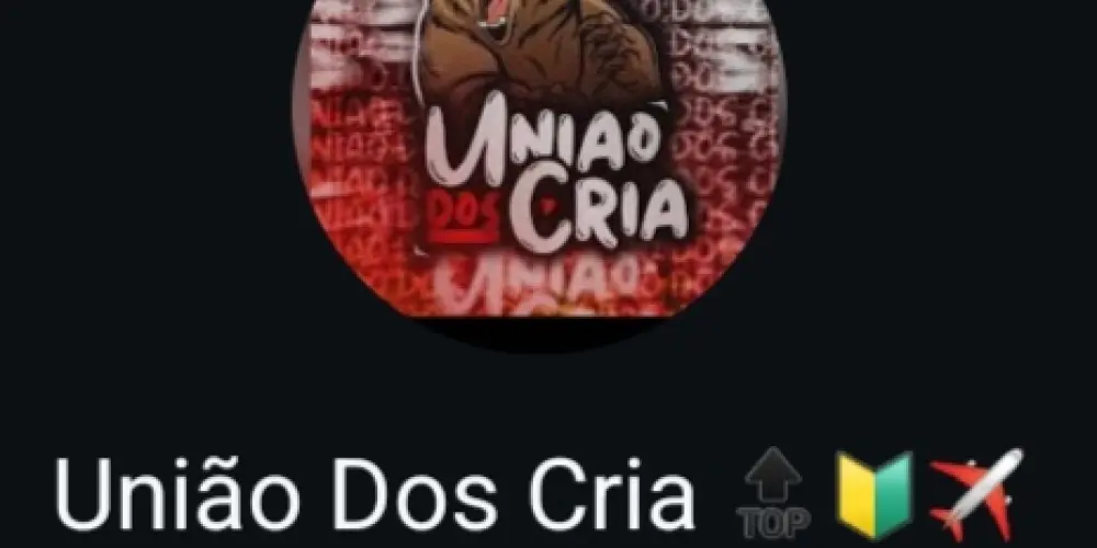 Imagem do grupo de WhatsApp União dos cria🔝🔰✈️